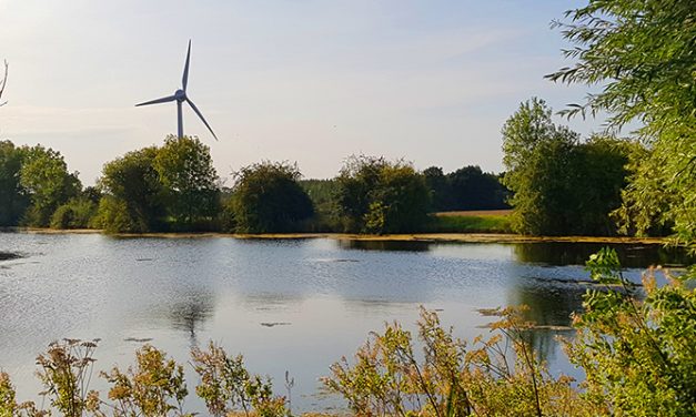 Spring (and running groups) around the corner